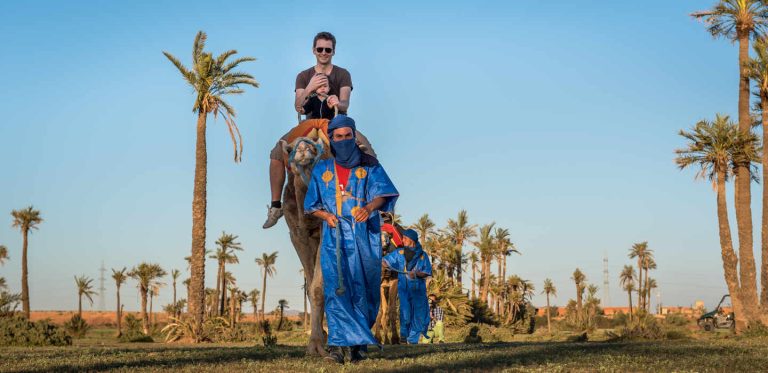Camel Ride Palm Grove Marrakech