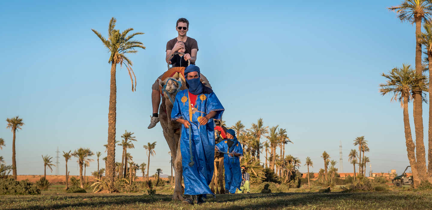 Camel Ride Palm Grove Marrakech