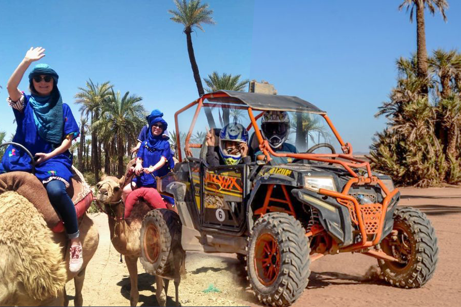5 Thrilling Ride Camels & Buggies in Marrakech: Your Ultimate Desert Adventure