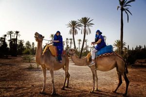 Camel Rides Marrakech