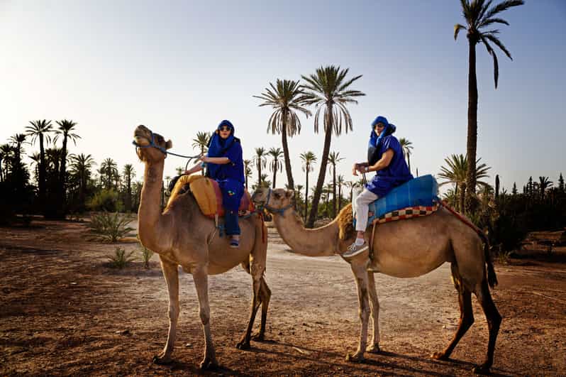 Camel Rides Marrakech