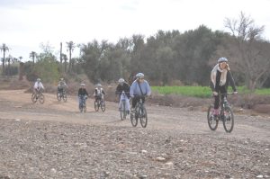 activities to do in marrakech​ , Cycling in Palmeraie