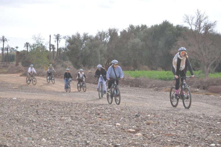 activities to do in marrakech​ , Cycling in Palmeraie
