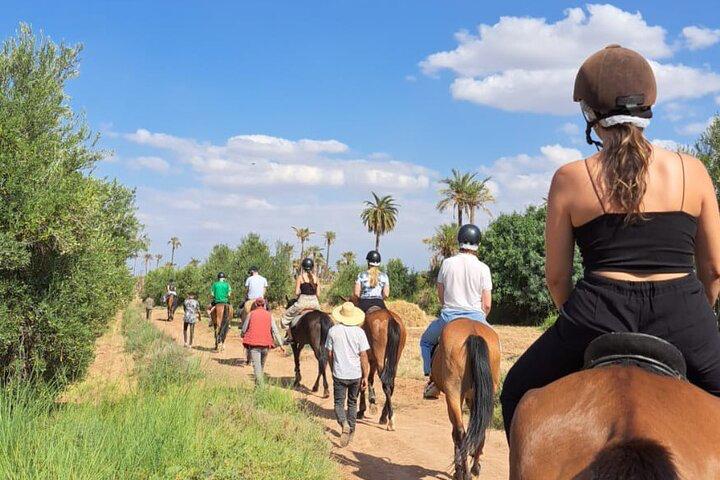 Excursions In Marrakech