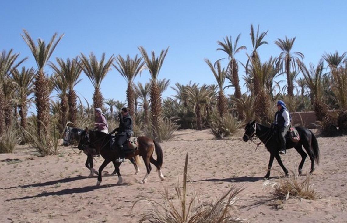 Horse Riding in Marrakech