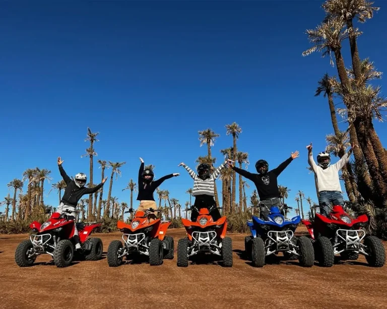 Top Activities in Marrakech