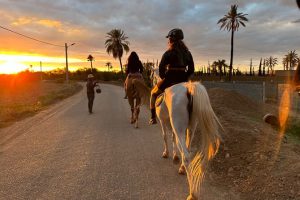 Horse Riding in Marrakech: 9 Unforgettable Palm Grove Rides & Tips (Complete Guide)