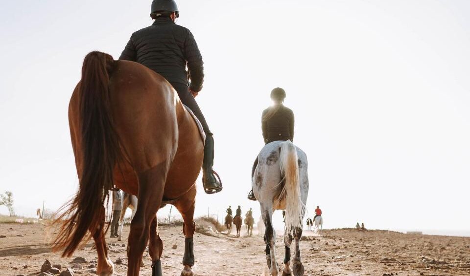 Marrakech Palmeraie Horseback Tour – Ride Through the Iconic Palm Grove