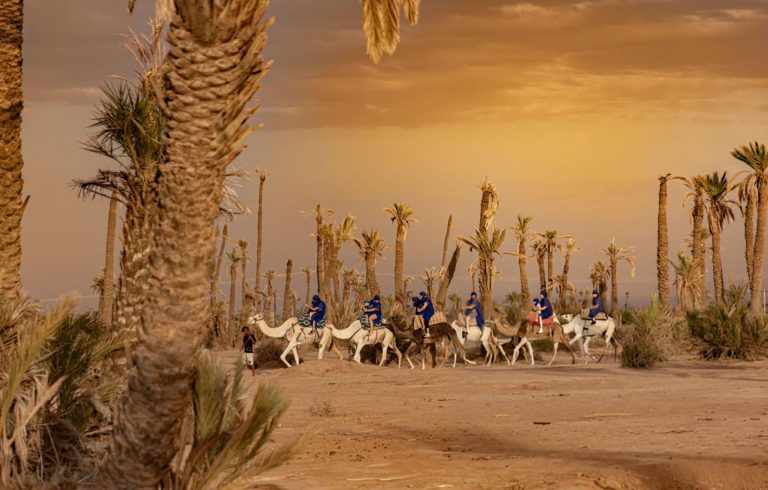 5 Thrilling Ride Camels & Buggies in Marrakech: Your Ultimate Desert Adventure