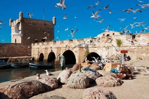 Essaouira Excursion From Marrakech