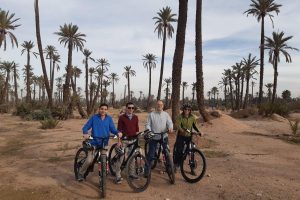 vtt palm tour