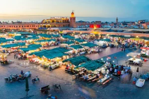 best excursions in Marrakech