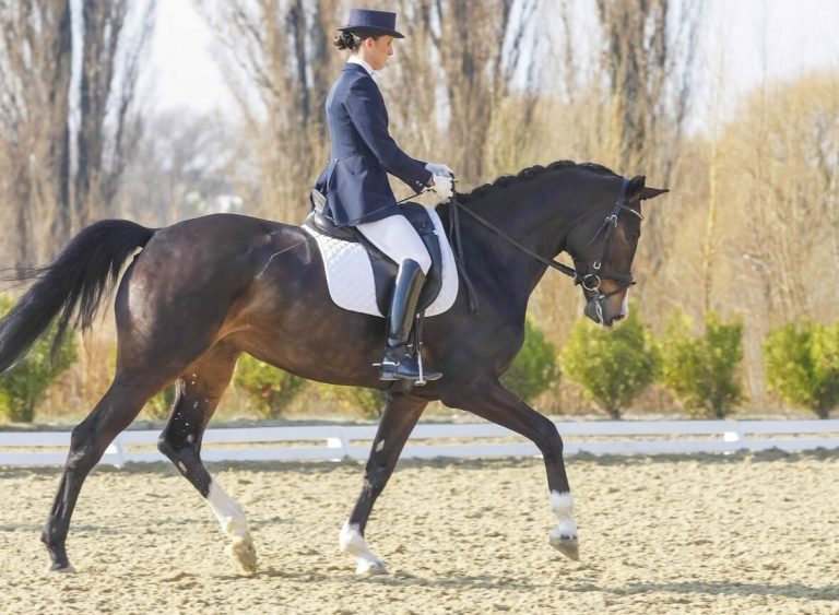 Horse riding Marrakech