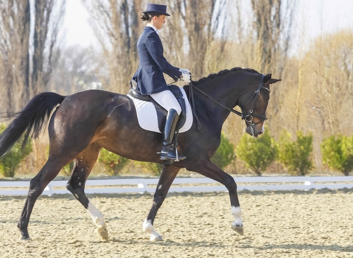 Horse riding Marrakech