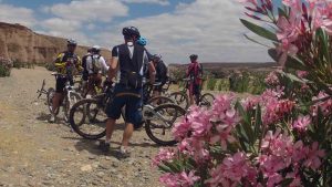 Cycling Tours Palm Grove Marrakech