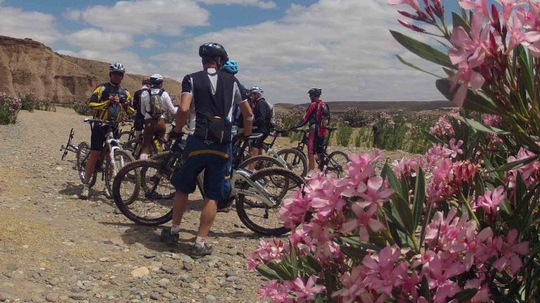 Cycling Tours Palm Grove Marrakech