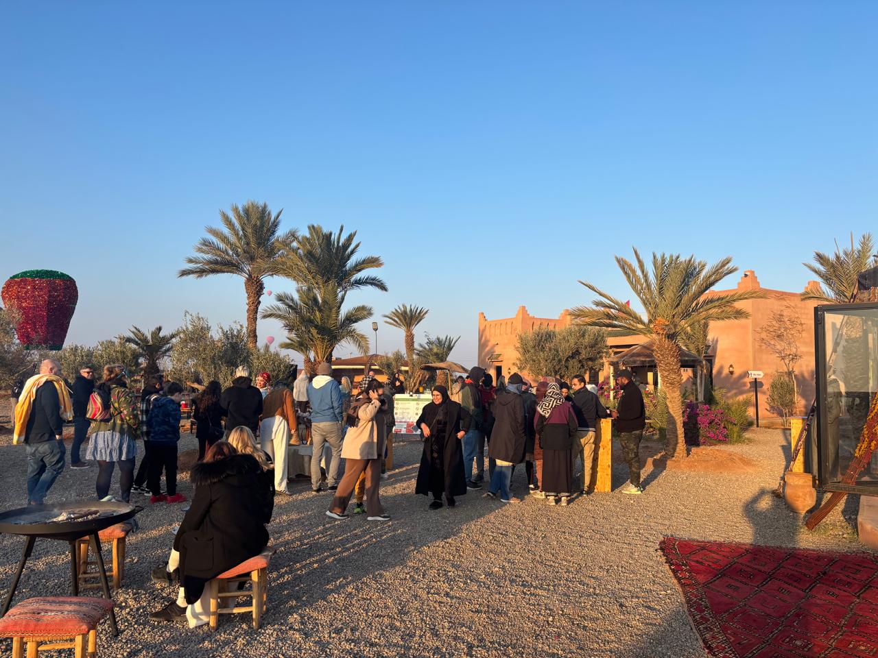 Best Excursions in Marrakech