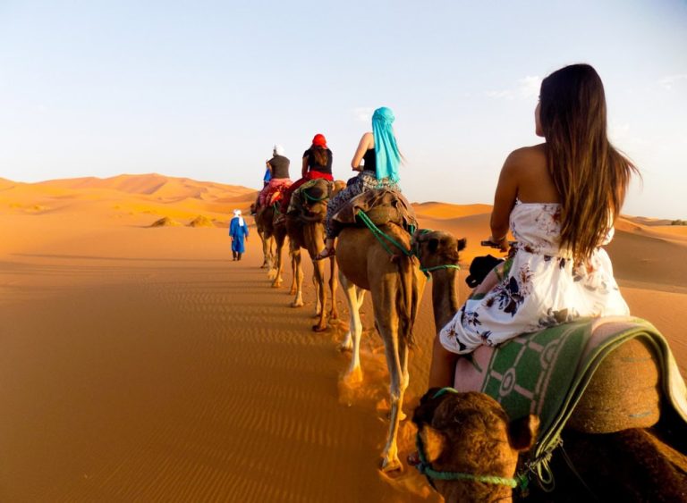 Activities to do in Marrakech