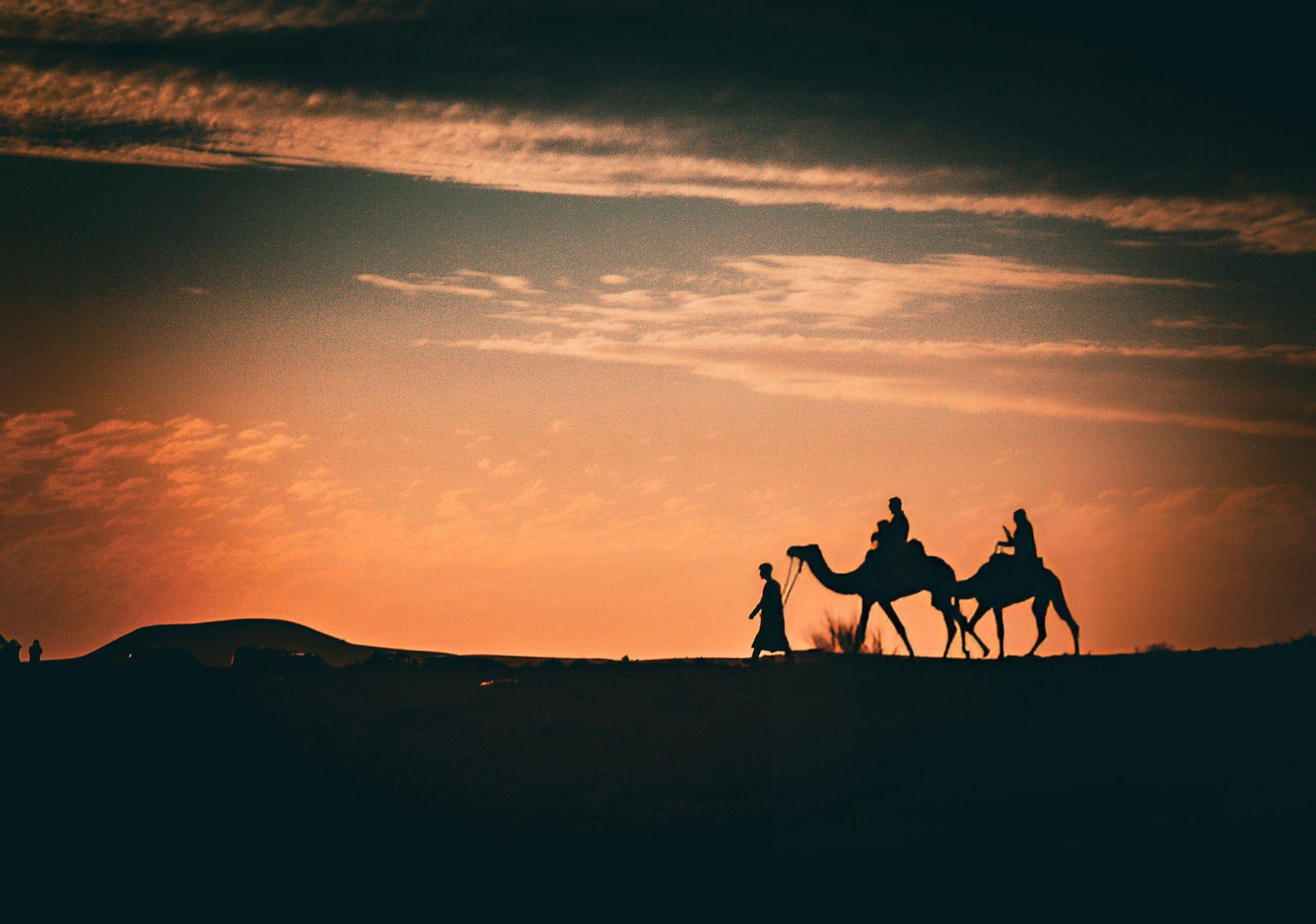 Marrakech Desert Tours: Palmeraie Marrakech Activities + Things to Do