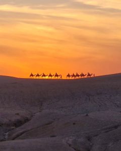 Excursions in Marrakech