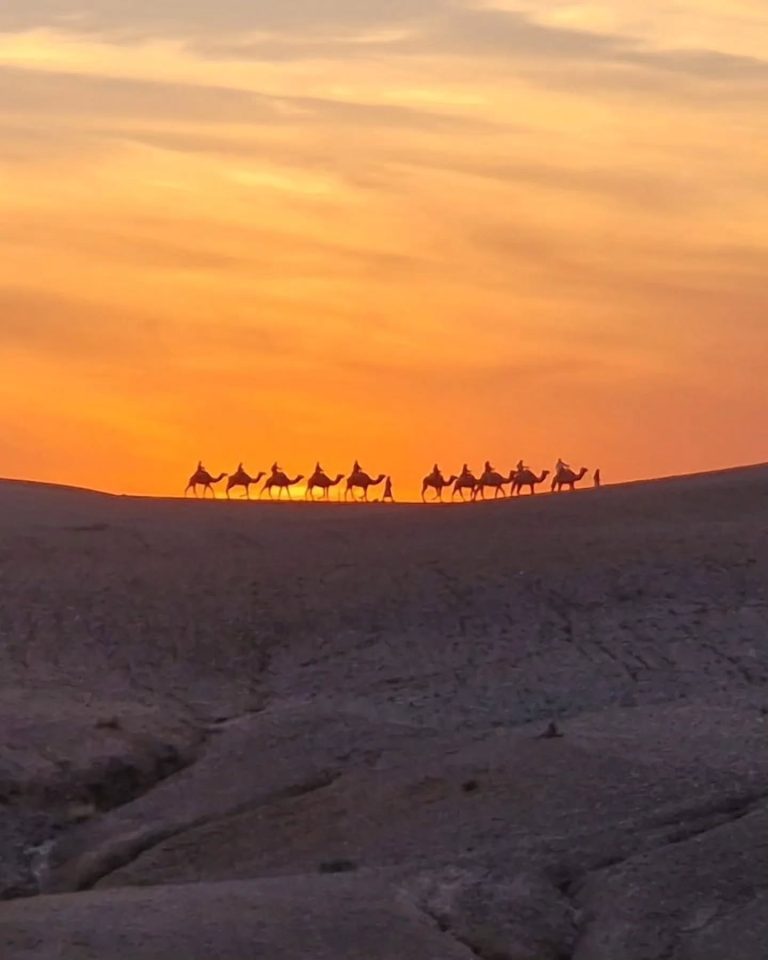 Excursions in Marrakech