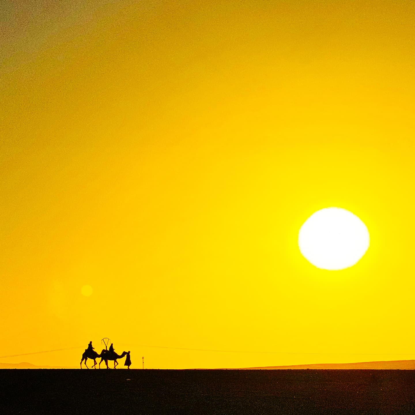 Camel Ride Marrakech | Best Camel Rides in Marrakech (Palmeraie & Agafay)