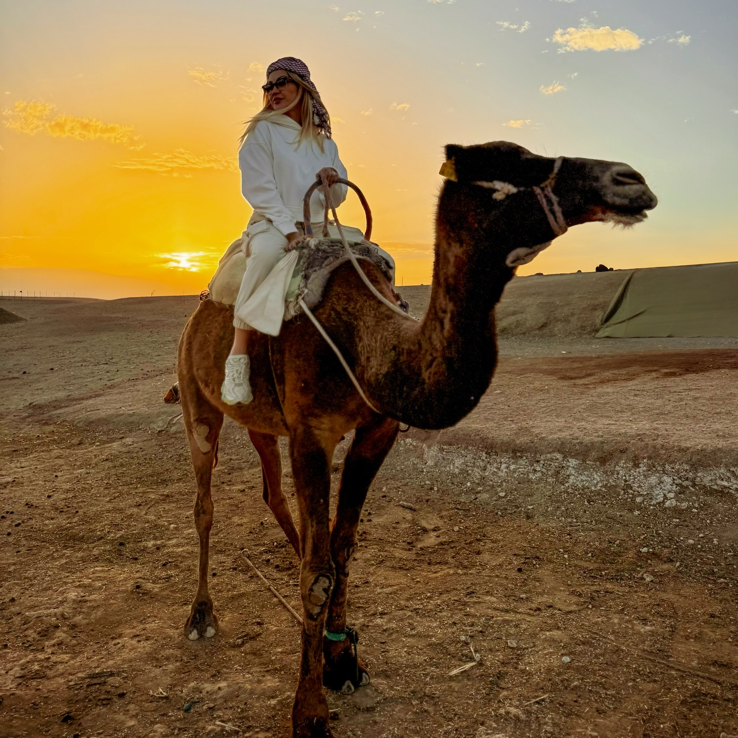 Camel Ride Marrakech | Best Camel Rides in Marrakech (Palmeraie & Agafay)
