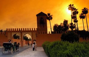 Marrakech Desert Tours: Palmeraie Marrakech Activities + Things to Do