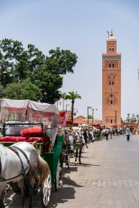 Best Excursions in Marrakech