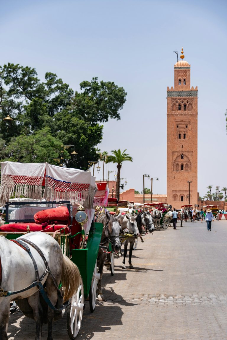 Best Excursions in Marrakech