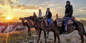 Marrakech Camel Tours