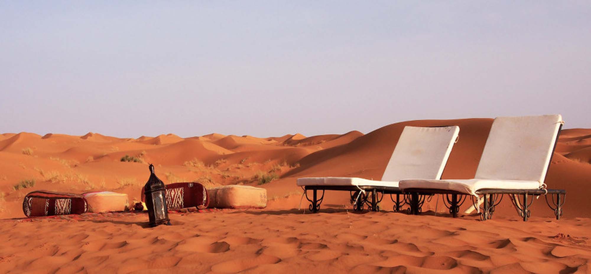 Camel Ride in Palmeraie: 7 Best Palm Grove Marrakech Tips 