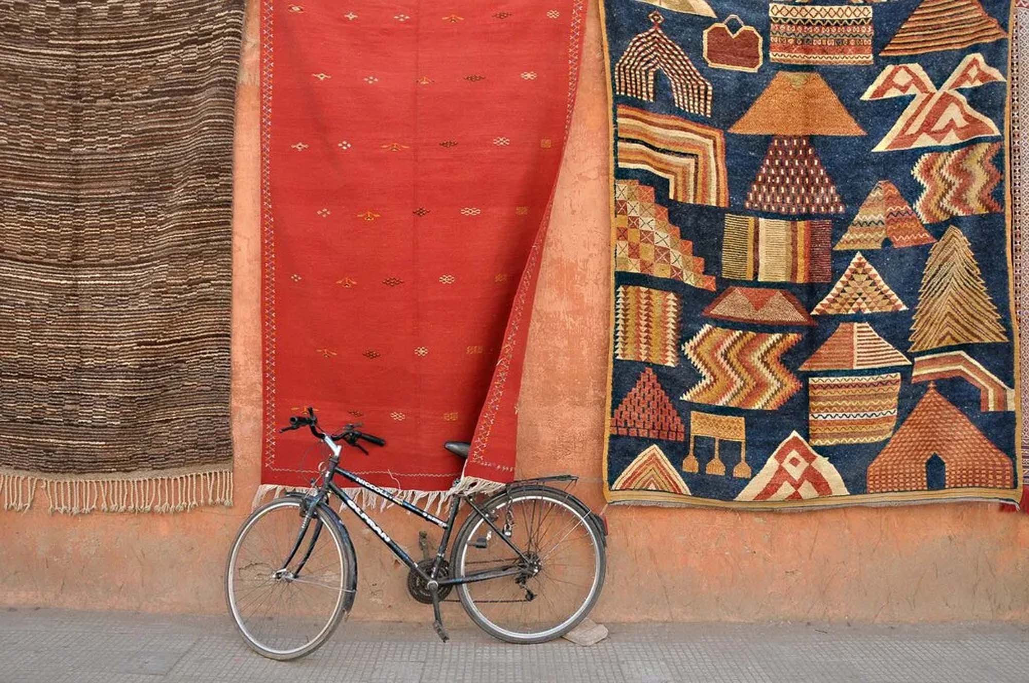 VTT Adventures: 7 Best Marrakech Palm Tour Tips