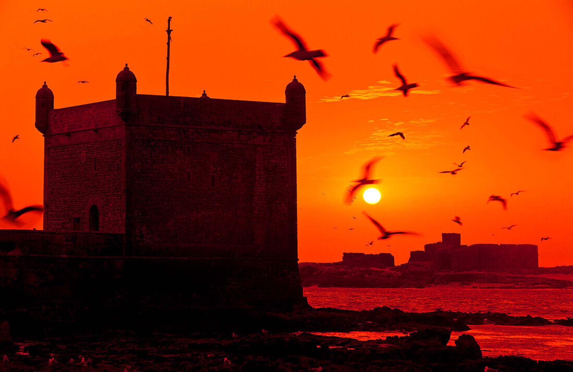 Essaouira Day Trip: 10 Unforgettable Highlights for Your Marrakech Excursion