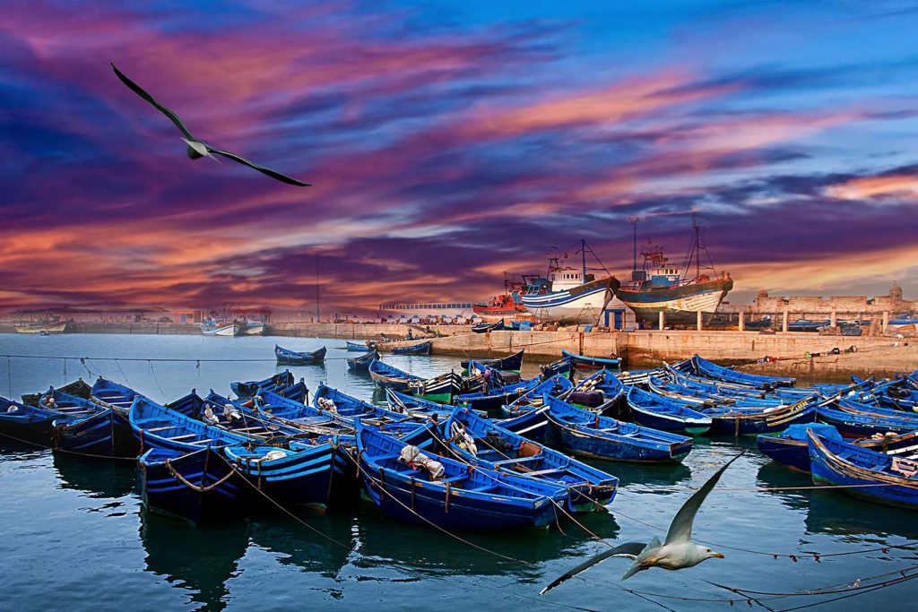 Marrakech day excursions
