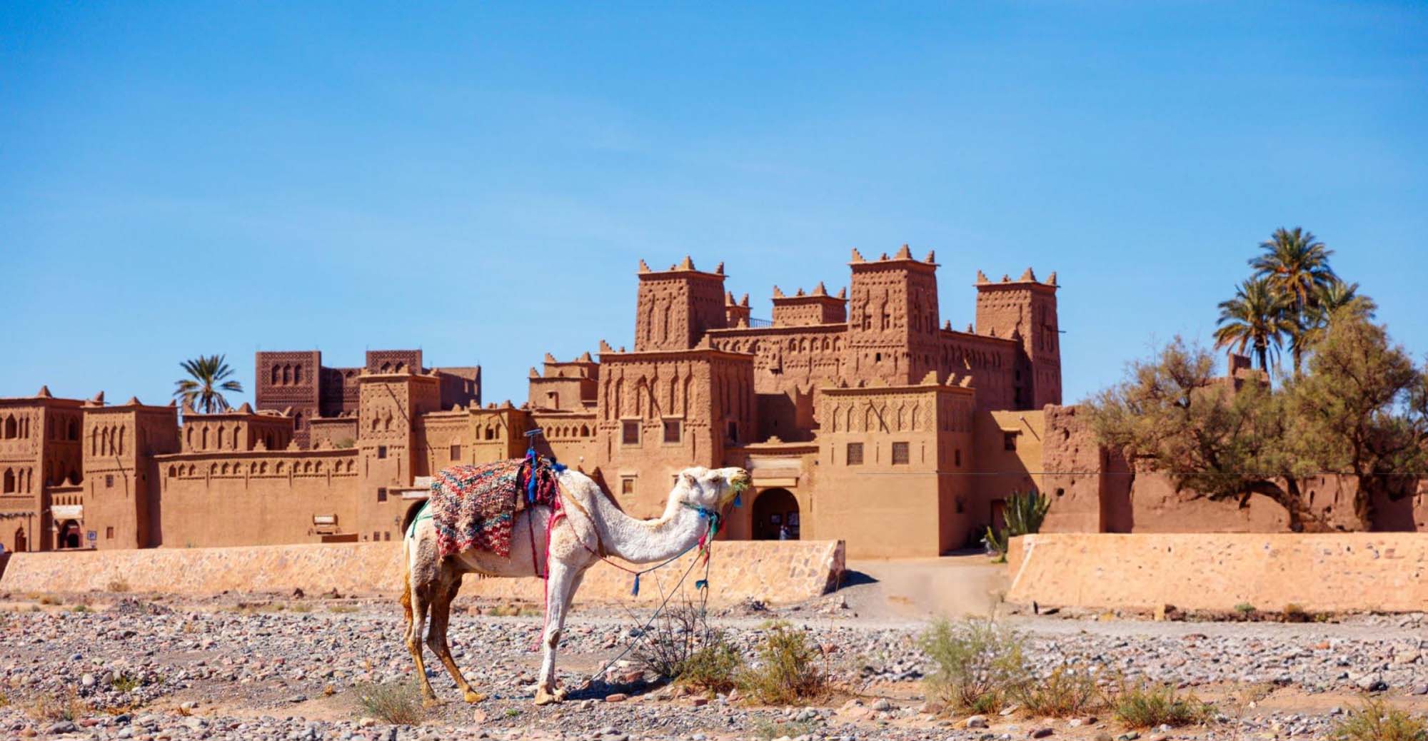 Ouarzazate Day Trip: 7 Best Stops from Marrakech 