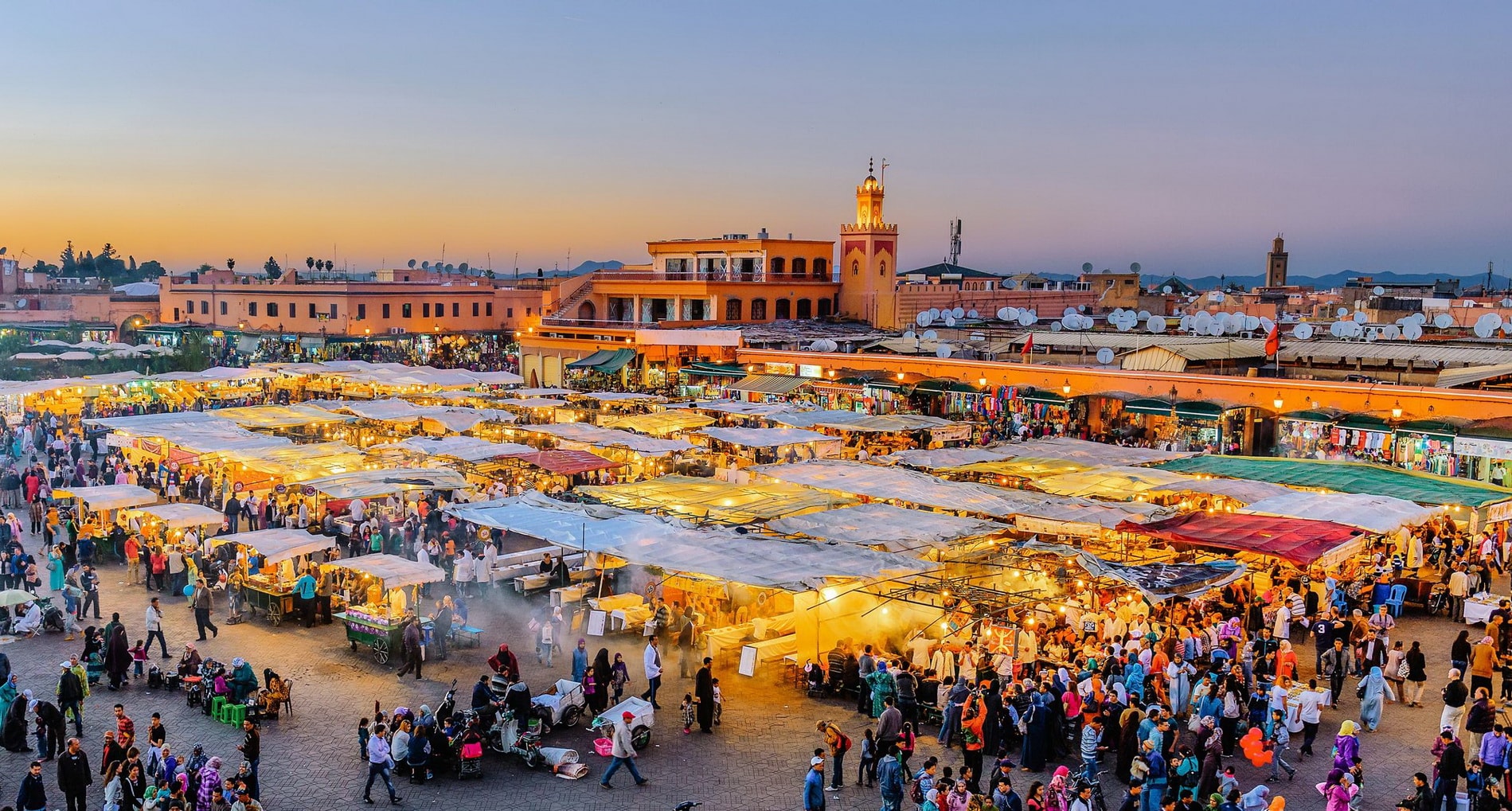 VTT Adventures: 7 Best Marrakech Palm Tour Tips