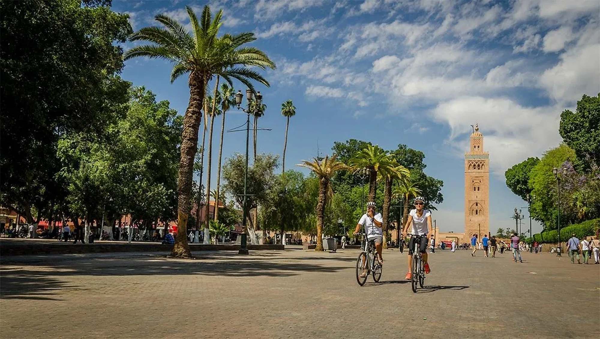 VTT Adventures: 7 Best Marrakech Palm Tour Tips