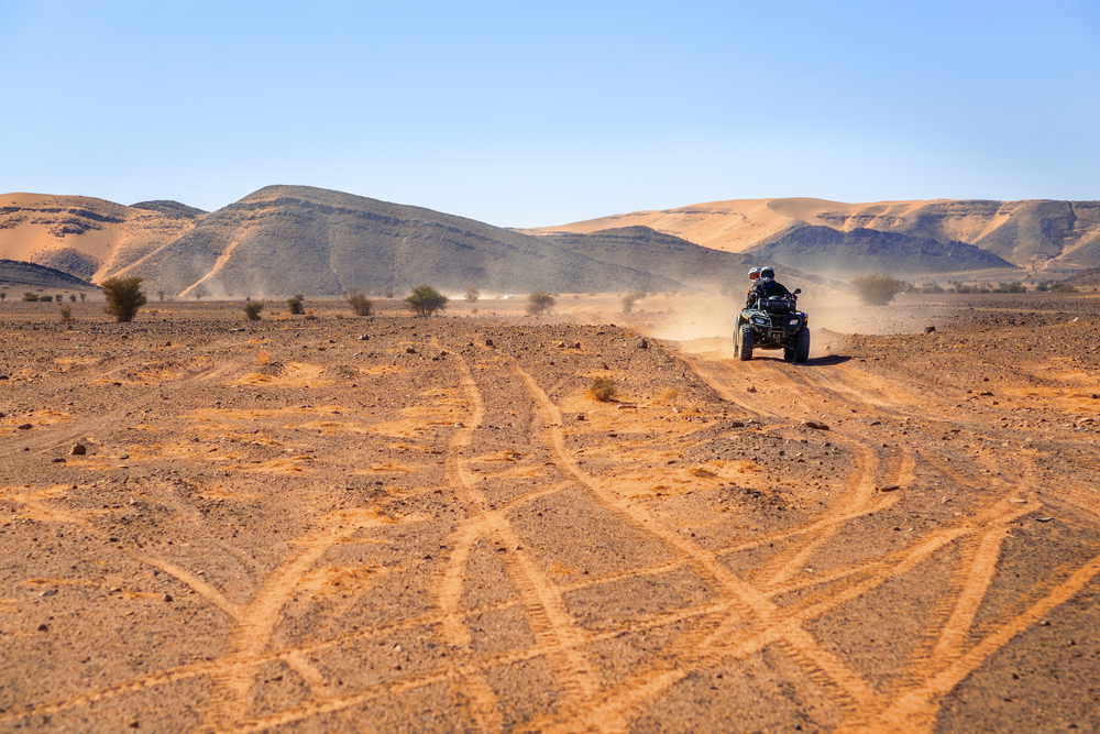 VTT Adventures: 7 Best Marrakech Palm Tour Tips