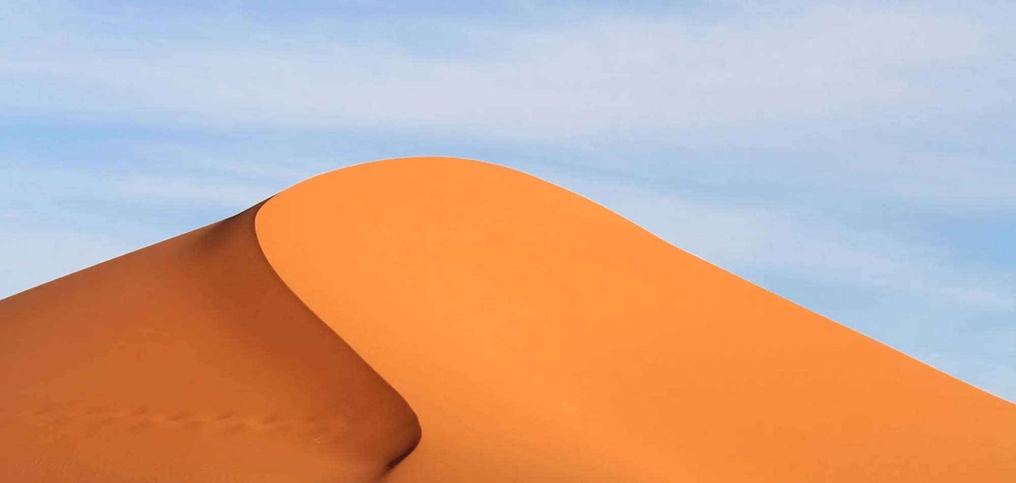 Camel Ride in Palmeraie: 7 Best Palm Grove Marrakech Tips 