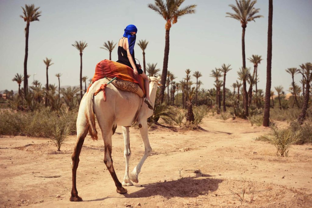Activities in Palm Grove Marrakech | Best Excursions, Quad Biking & Camel Rides2026