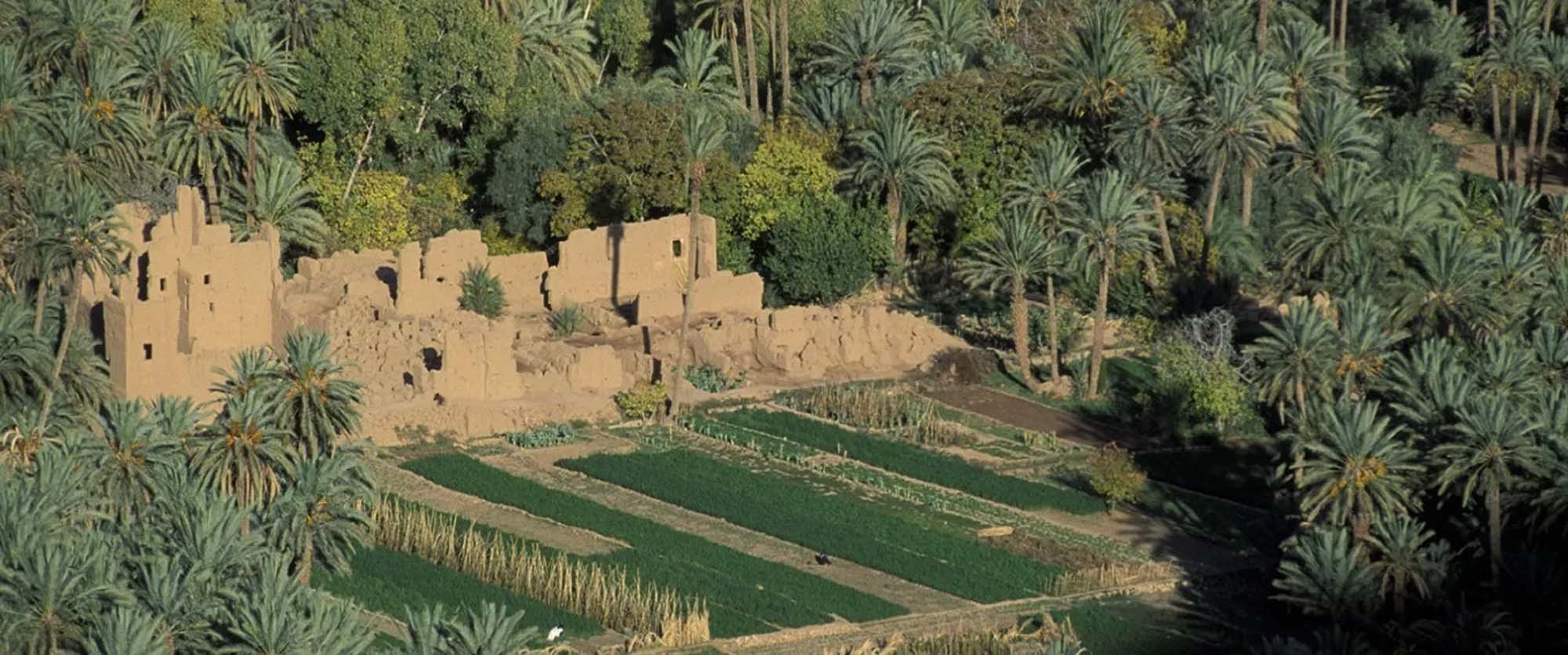 Ultimate Private Day Tours from Marrakech: 2 Top Trips (Ouzoud Waterfalls & Ouarzazate)

