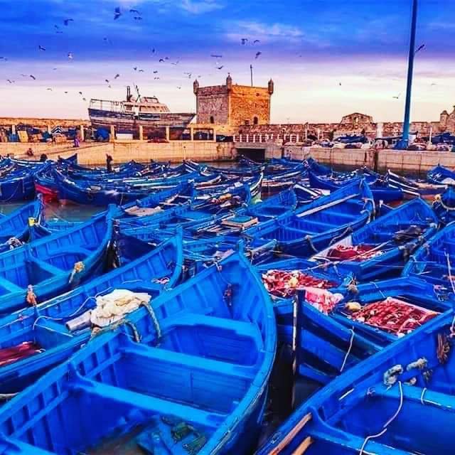 Essaouira Excursion From Marrakech: 7 Best Things to Do