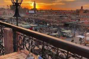 Best Camel Ride in Marrakech | Camel Ride Palm Grove Marrakech Experience2026