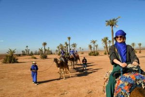 Marrakech Palm Grove Excursions: Best Activities, Camel Ride & Day Trips 2026