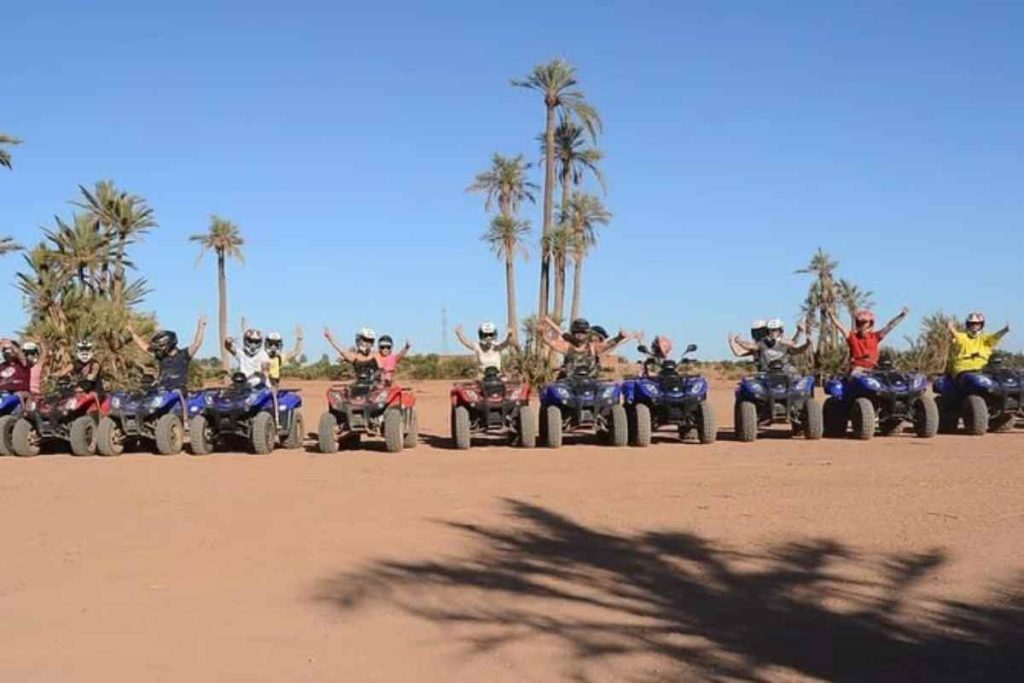 Marrakech Palm Grove excursions