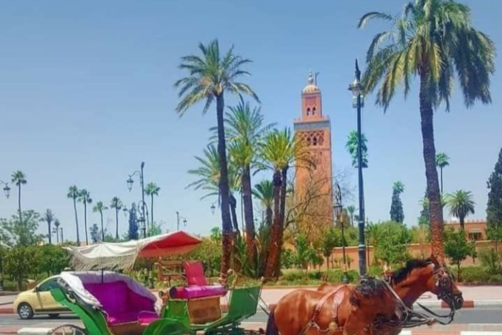 Marrakech Family Holidays