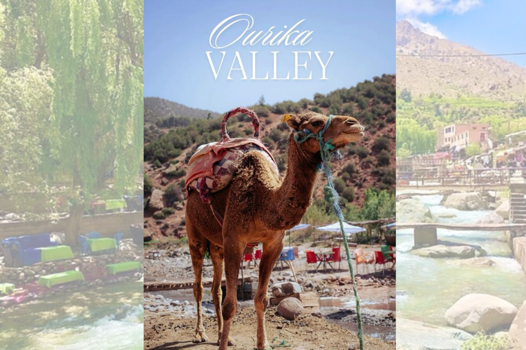Ourika Valley Tour from Marrakech: Atlas Mountains Day Trip to Setti Fadma Waterfalls