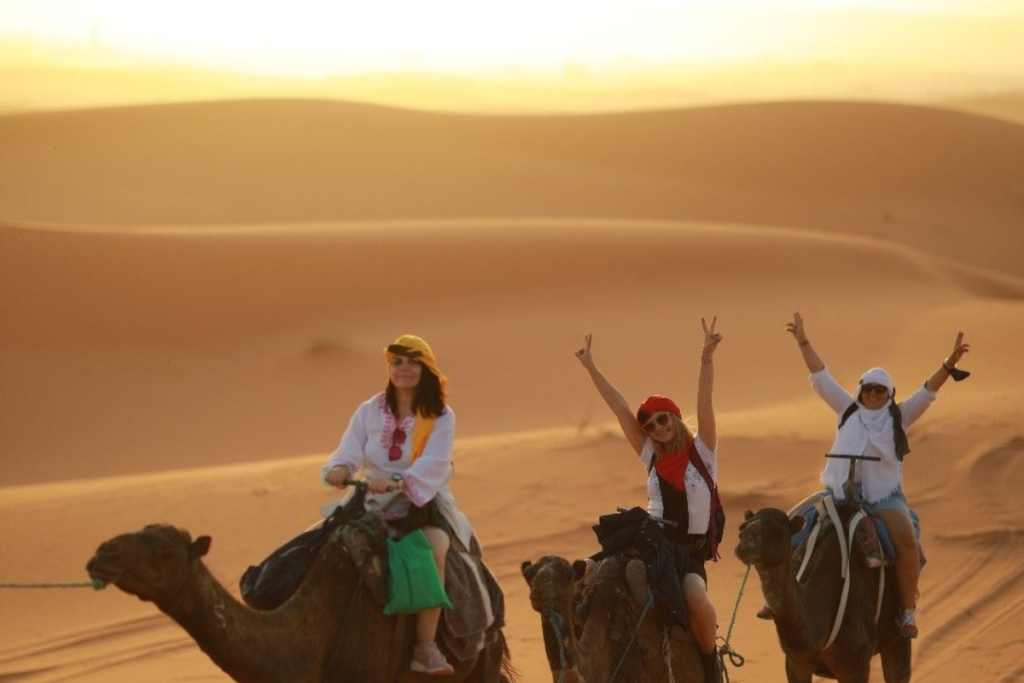 Camel Rides in Marrakech