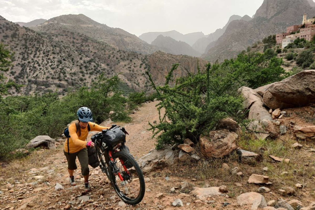 palm grove bike tour marrakech